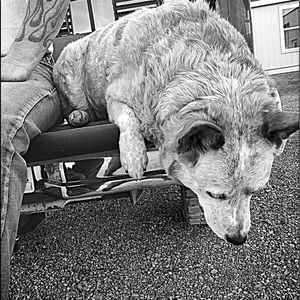 Meet your Posher, Kris